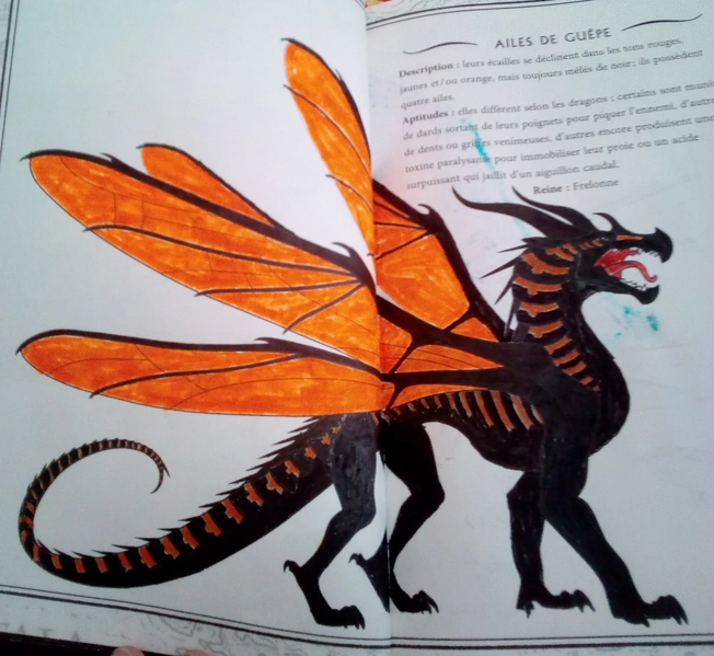 Fichier:R:Photo de Pepsis.jpg