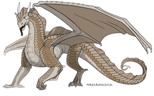 Sans titre 76 20200610140438.png