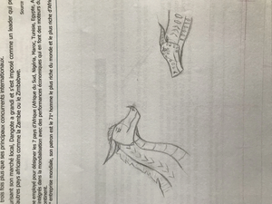 TF's sketches 07.jpg