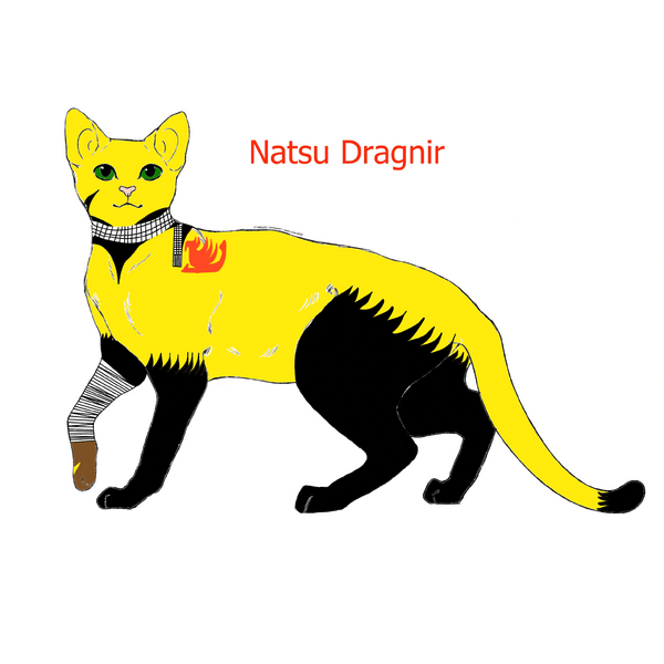 Fichier:R:Natsu Dragnir.png