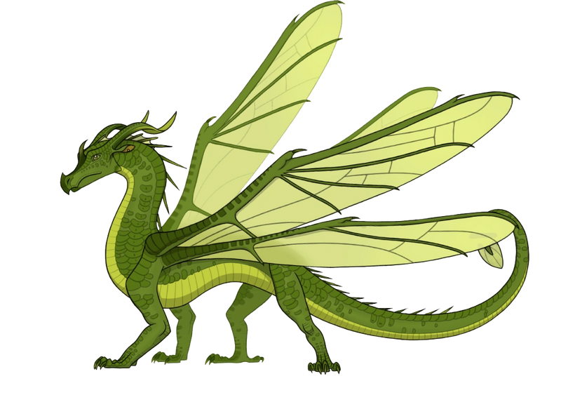 Fichier:R:Chene SF.png