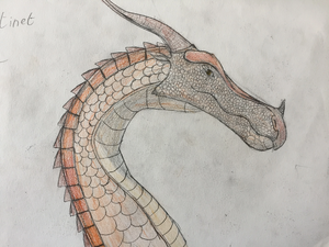 R:Martinet dragon.JPG