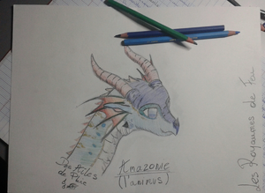 R:Amazonie des Ailes de Pluie.jpg