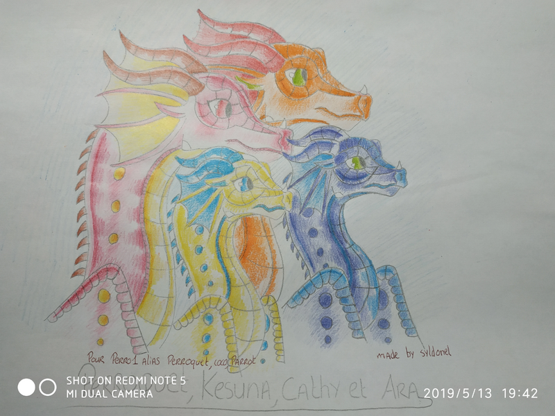 Fichier:R:IMG 20190513 194225.jpg