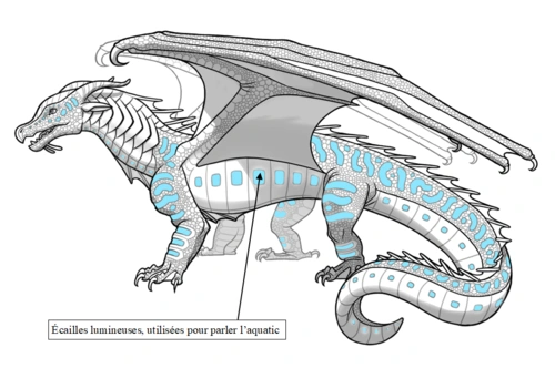 Fichier:Écailles utilisées en aquatic.png