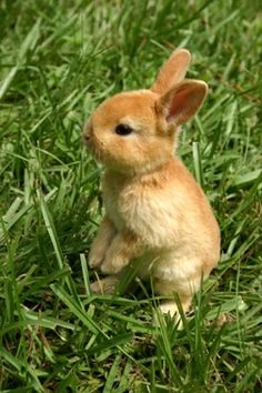 Fichier:IMG 0683.JPG