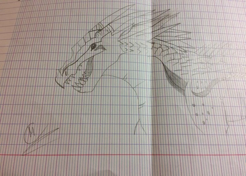 Fichier:IMG 1909.jpg