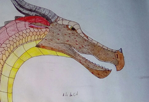 R:IMG 20191023 122325 kindlephoto-17420921.jpg