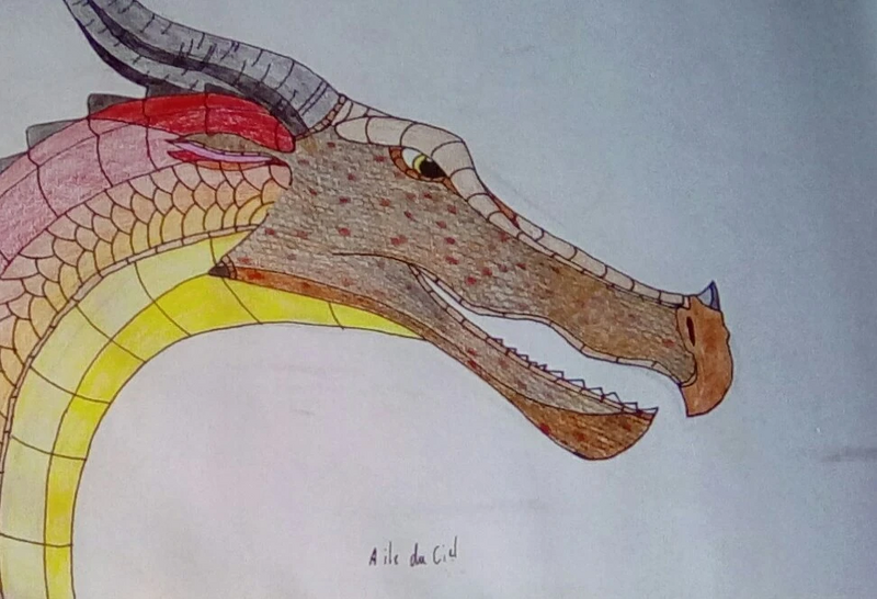 Fichier:R:IMG 20191023 122325 kindlephoto-17420921.jpg