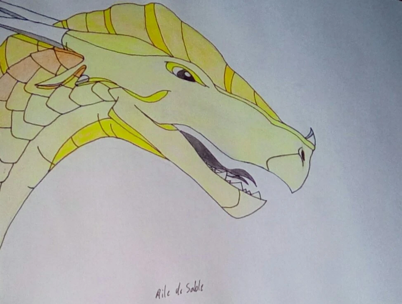 Fichier:IMG 20191023 122307 kindlephoto-17367404.jpg