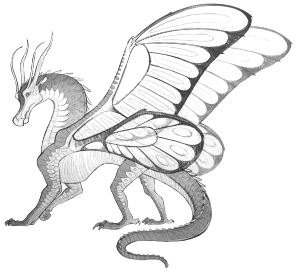 Fichier:SilkWing Ref PhotoCropped.png