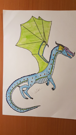 R:20191117 231539.jpg