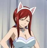 Fichier:Armure de Chat.png