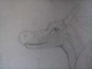 WIN 20190626 12 06 58 Pro.jpg