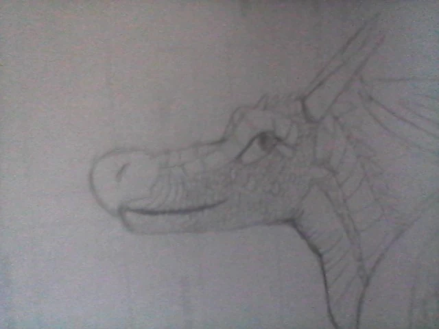 Fichier:WIN 20190626 12 06 58 Pro.jpg