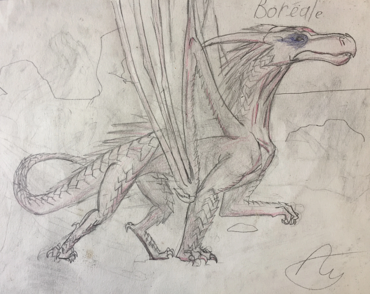 Fichier:R:Boréale icewing.jpg