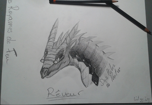 Rêveur des Ailes de Nuit^^.jpg