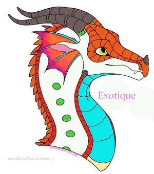 Exotique .png