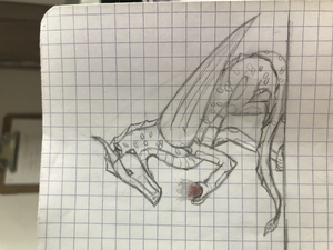 TF's sketches 13.jpg