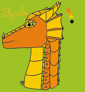 R:Physalis des ailes de pluie line.png