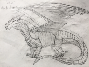 R:Monitor mudwing.jpg