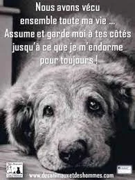 Fichier:R:Images (6).jpg