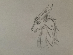 R:Aile de pluie de Patte des sureau.jpg