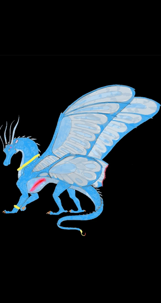 Fichier:Project Capture (4).jpg