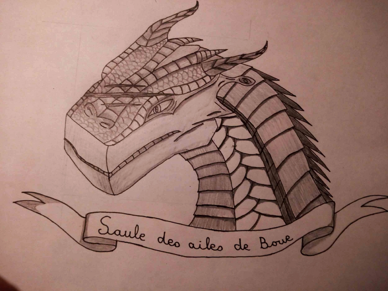 Fichier:Saule 1 - Copie.jpg