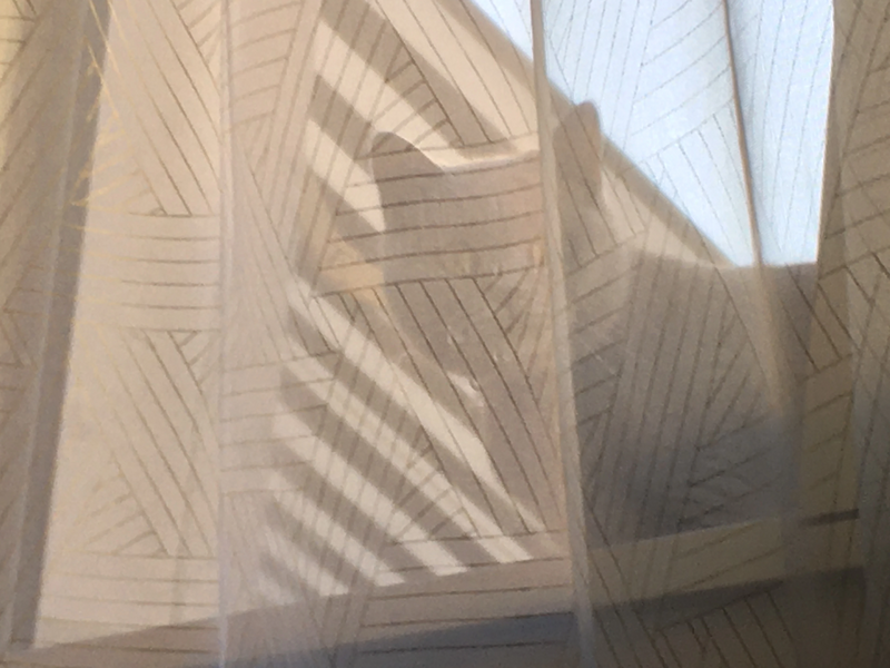 Fichier:R:Mon chaton .jpg