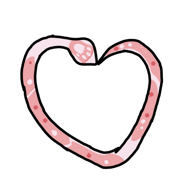 Fichier:R:De Astral Spiritus.png