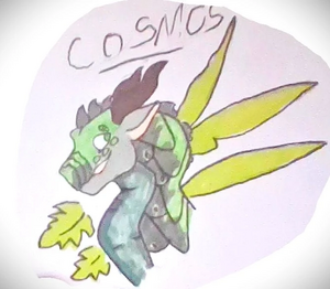 R:WIN 20250413 11 01 .jpg