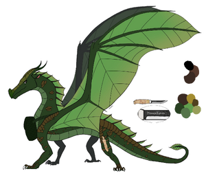 R:Ref wenge + accessoires.png