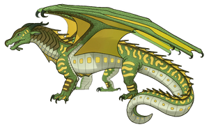 R:TortoiseTemplateS978 .png