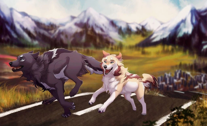 Fichier:R:Deux beaux loups wild.jpg