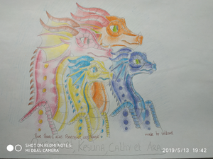 IMG 20190513 194224.jpg