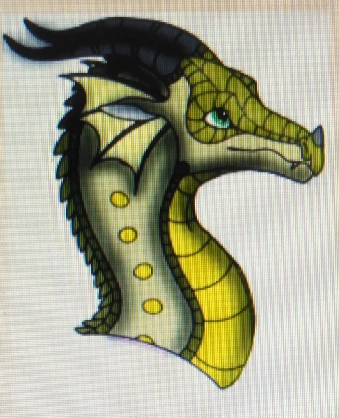 Fichier:IMG 20201027 124440~2.jpg