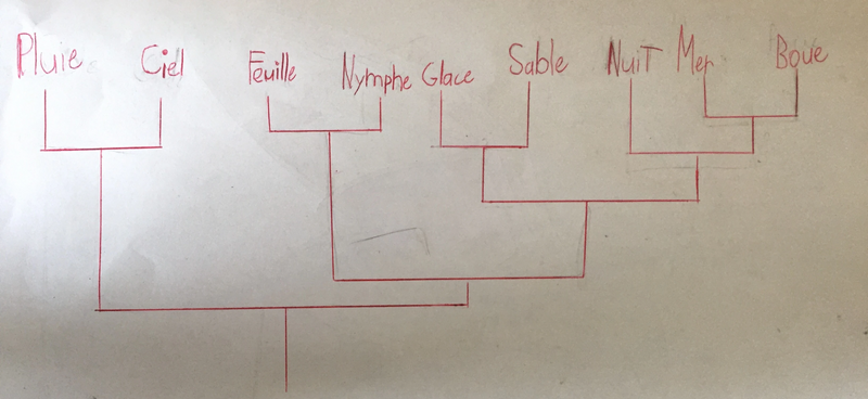 Fichier:Cladogramme WoF.jpg