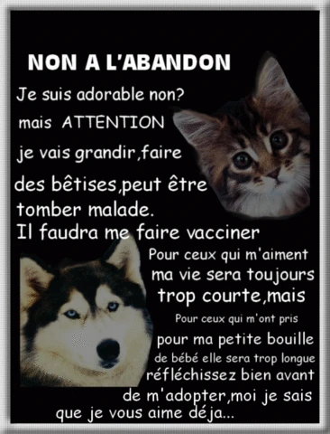 Fichier:Forum 53f818791544a.gif