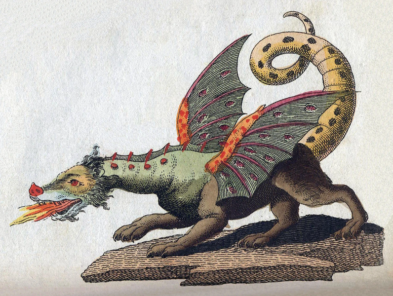 Fichier:Friedrich-Johann-Justin-Bertuch Mythical-Creature-Dragon 1806.jpg