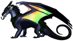 Aile de Nuit de Pluie.png