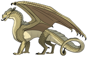 R:Ocotillo référence.png