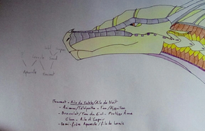 R:IMG 20191023 122142 kindlephoto-17231641.jpg