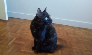 IMG 20190826 083752.jpg