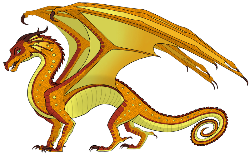 Fichier:OC Physalis.png