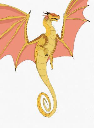 Patte de sureau 1.jpeg