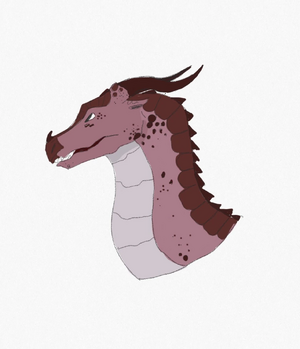 Patte de sureau Balbuzard.jpeg