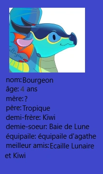 Fichier:Carte d'identité Bourgeon .png