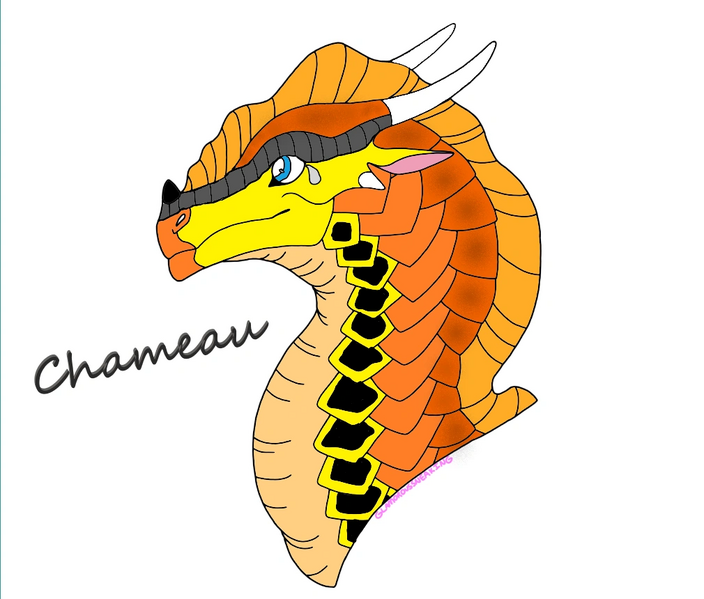 Fichier:Chameau alias maman ^^.png