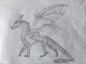 R:Beetlewing by me.JPG